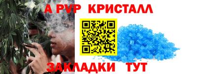 PSILOCYBIN Тверь