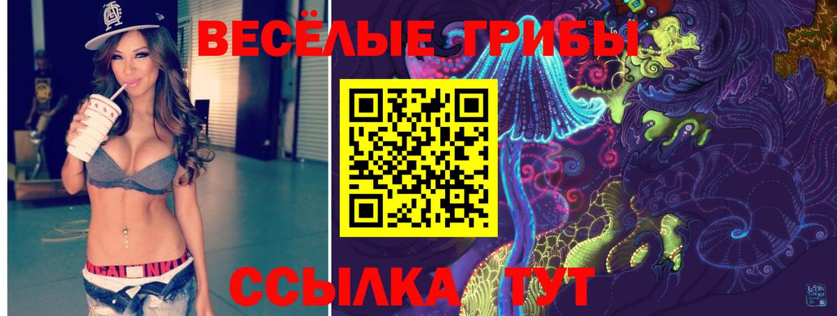 Лесосибирск  Галлюциногенные грибы Magic Shrooms  продажа наркотиков  Вход с VPN 