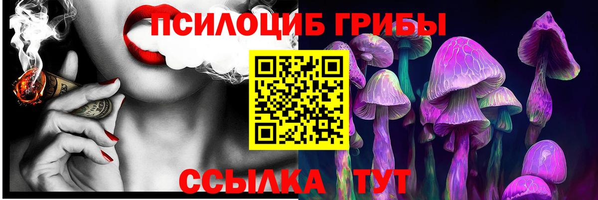 Галлюциногенные грибы GOLDEN TEACHER Лесосибирск